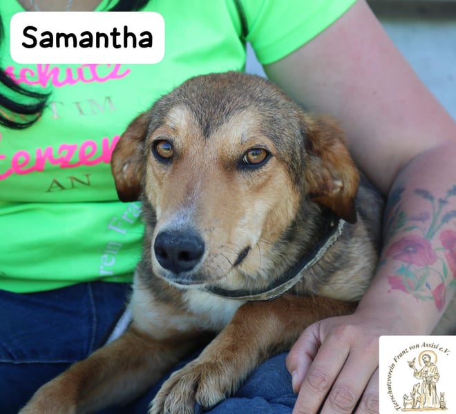 Samantha – kleine Entdeckerin mit leiser Stärke
