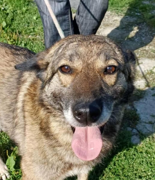 Elsa - sooo lieb und freundlich