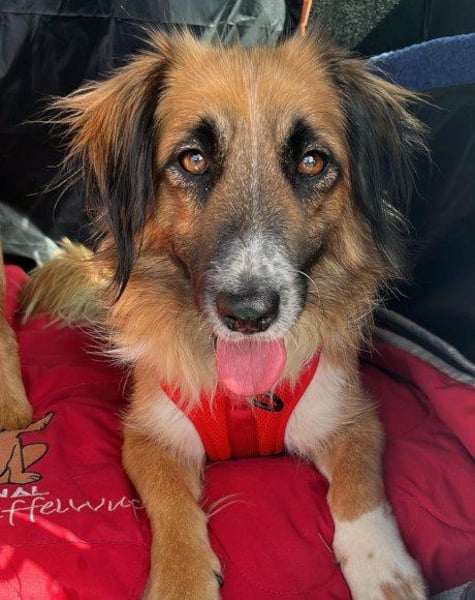 Besuche Grace in 64711 Erbach ❤