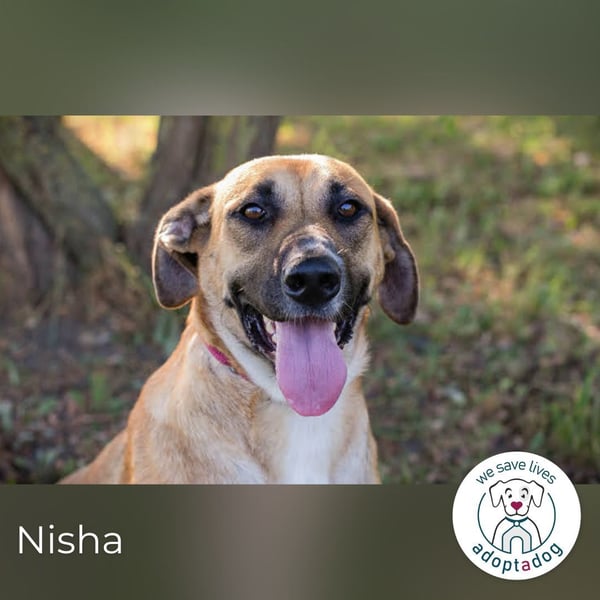 Nisha – Frohnatur