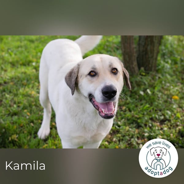 Kamila: Ruhige, liebe Seele