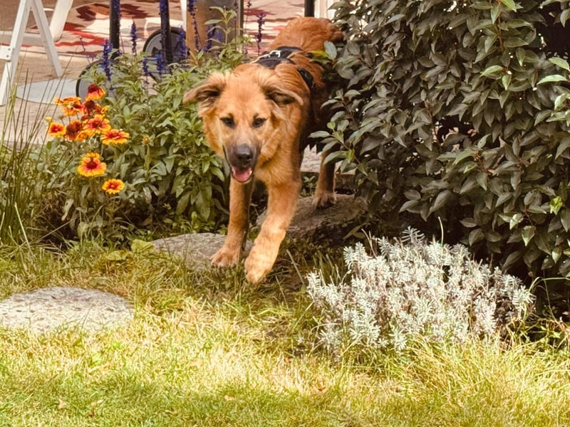 Sissy, Entdeckerin sucht ihre Herzensmenschen