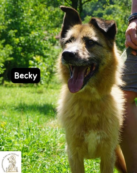 Becky – Eine Lady zum Verlieben, so schön wie das Leben selbst!