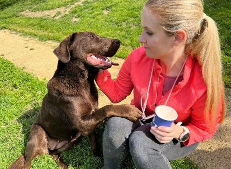 Zauberhafte, liebenswerte Gemma sucht ihre Menschen