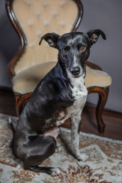 Kira – fröhlich trotz Handicap
