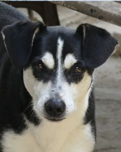 Nikita - Still, übersehen und dabei so besonders