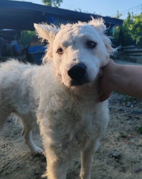 Sensible ♥ Jody ♥ sucht Liebe & Verständnis