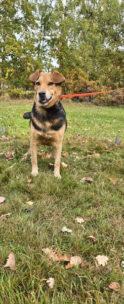 Katja sucht ein neues Zuhause