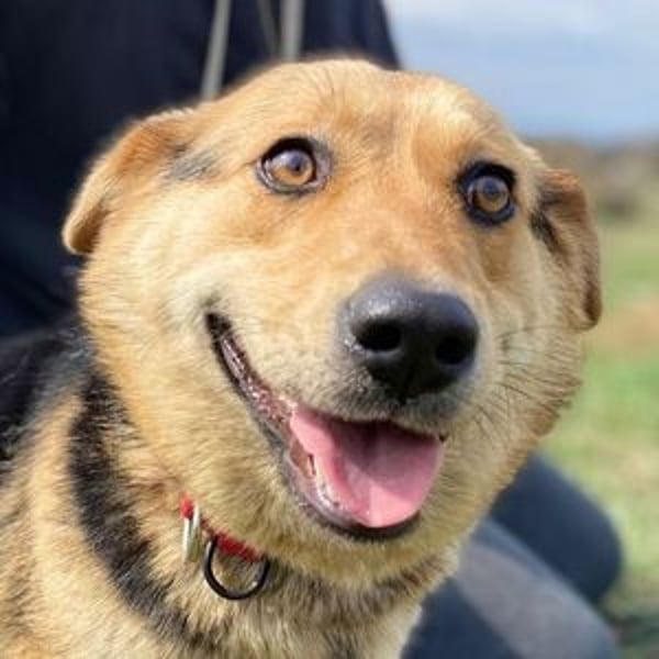 NESSY hofft so sehr auf einen Neuanfang