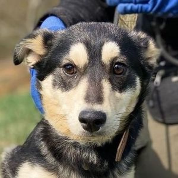 KEVIN wäre gerne dein Freund