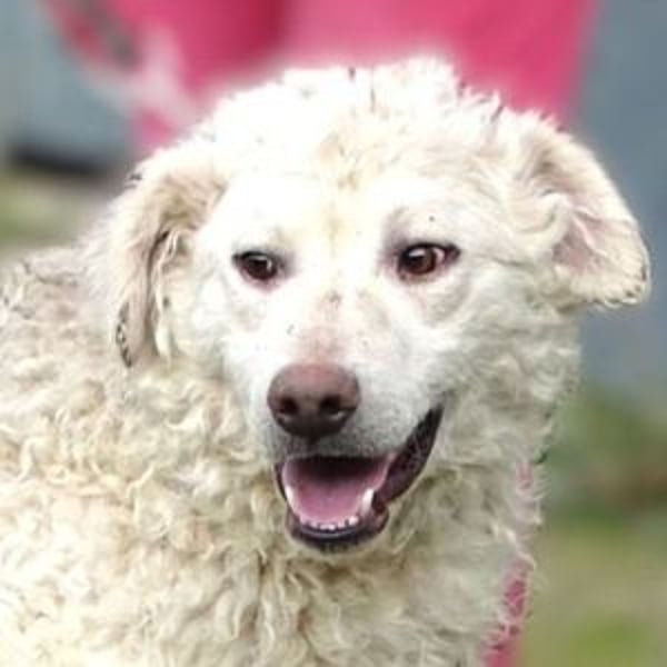 CLIVE wurde gnadenlos entsorgt