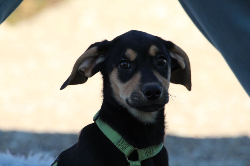 Alani such seine Herzensmenschen...