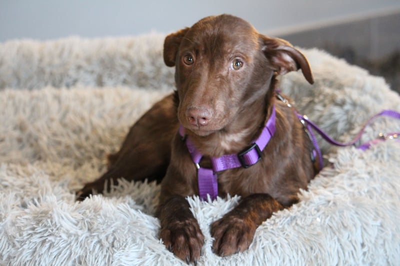 Malina unsere kleine Schönheit..