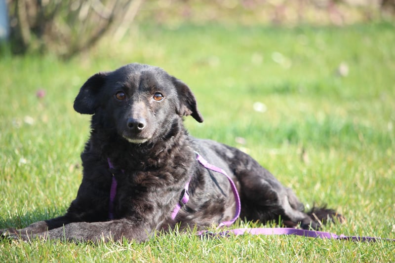 Nika hat endlose Liebe zu verschenken!