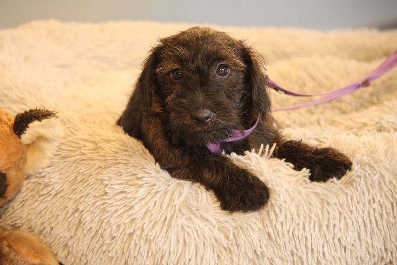 Manissa unsere kleine Schönheit ...