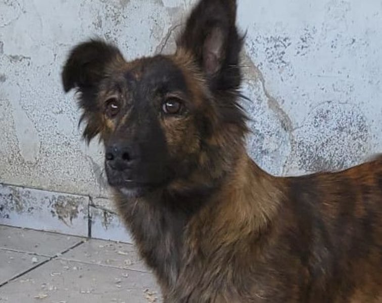 JULE❤️sanft, liebevoll und voller Zuneigung & Liebe