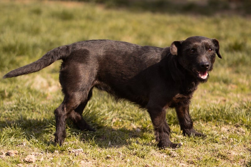 Fröhliche,kleine ♥Greta♥ zart,aber aktiv