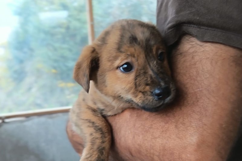 Timmy ❤️ junger, aktiver, so lieber Bub!