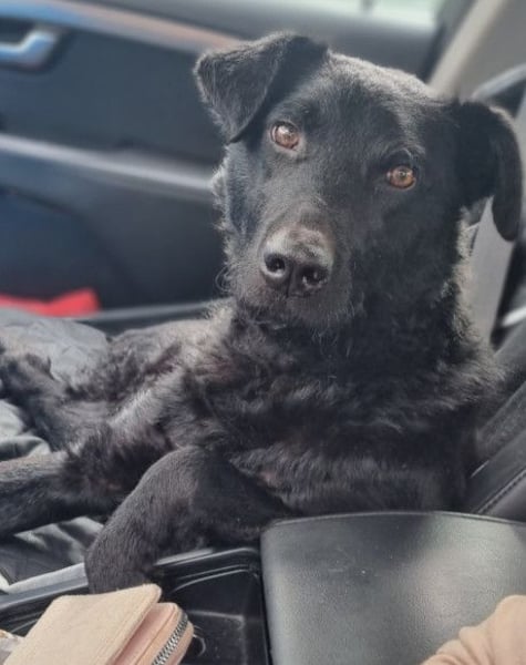 Floyd ❤️ liebenswerter, tapferer Kämpfer