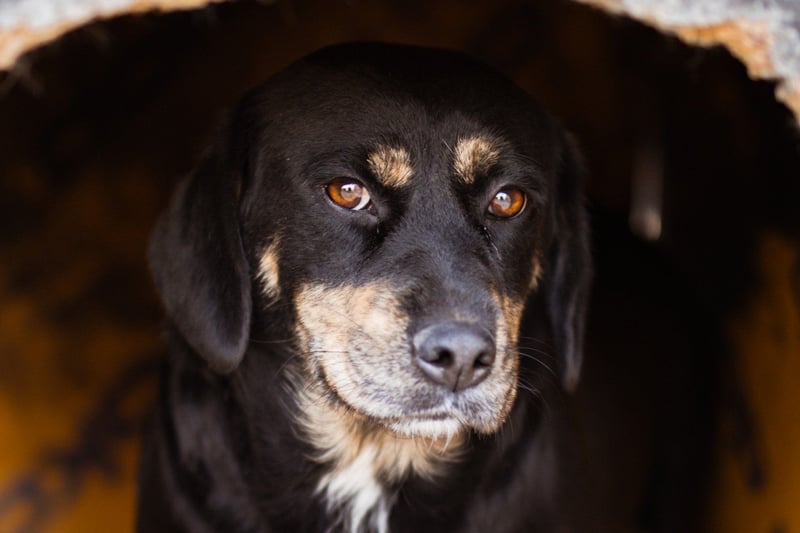 Junge Aimi sucht ihr großes Glück