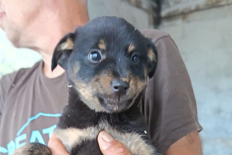 Liebe Babsi ❤️ kleine, süße Schmusemaus!