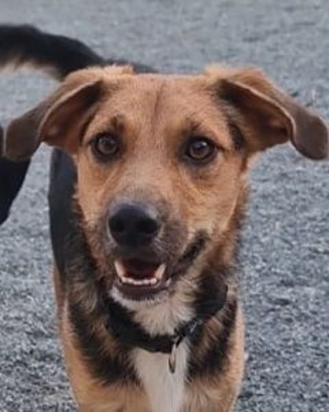 Eddy - Komm hervor, kleiner Eddy