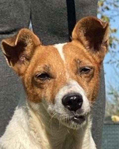 Rose - Wonneproppen möchte nun endlich leben