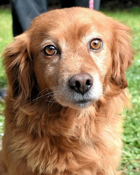 Telyr - "Test, Test, Test"