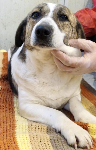 Super freundliche, kleine LUISA