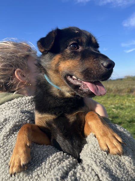 Kolos wartet auf dich