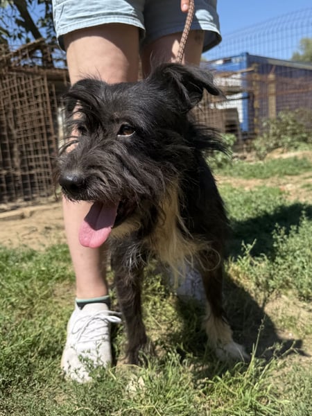 Lidi ist unser Sonnenschein