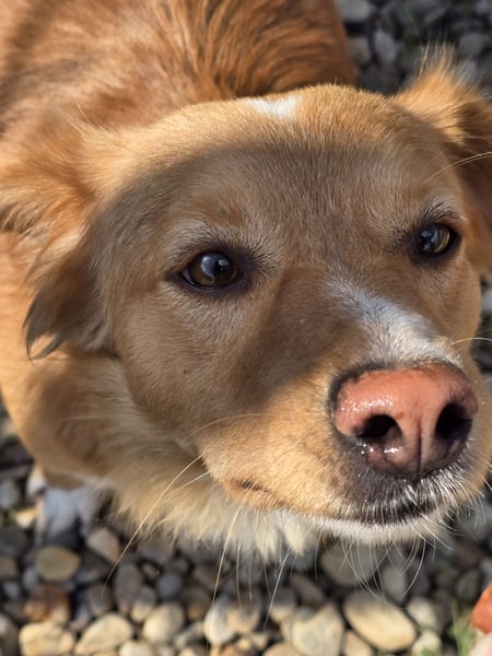 NICE - bildhübscher Kerl sucht Anschluss