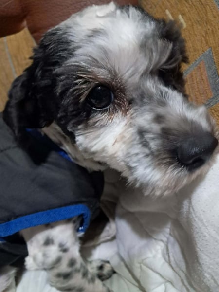 Henry, seid Ihr bereit für mich