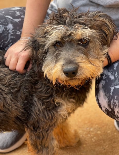 YUNO sucht Familienanschluß