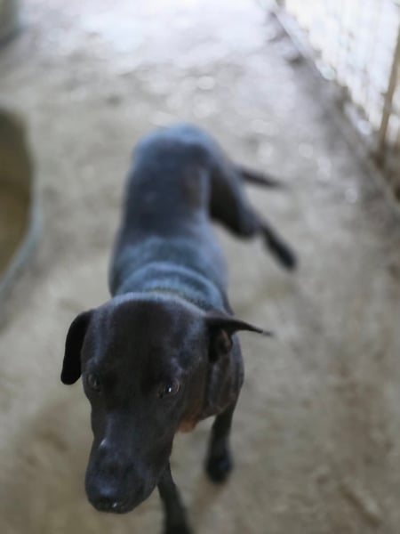 Stella - so menschenbezogen