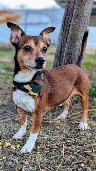 Turbo, hat seine Familie verloren