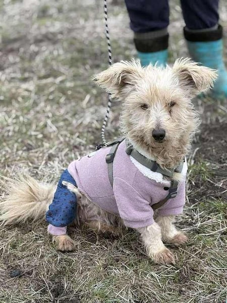 Molli, unsere kleine Prinzessin