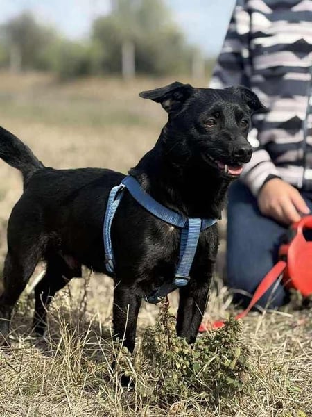Jerry, sein Köfferchen steht schon bereit