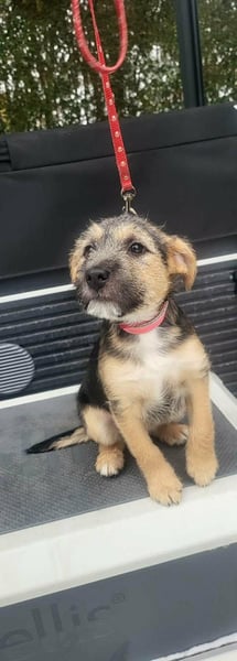 Evita, geboren 19.10.2025, 32cm sucht ihr Glück