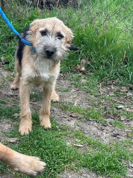 Evita, geboren 19.10.2025, 41cm sucht ihr Glück