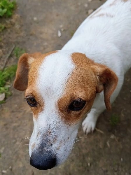 Diana sucht ihre Herzmenschen