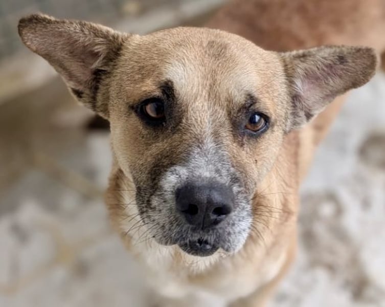 Storm - klein und sanft