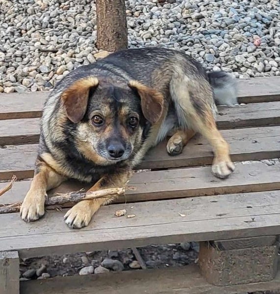 SANDY - hofft auf tolle Menschen