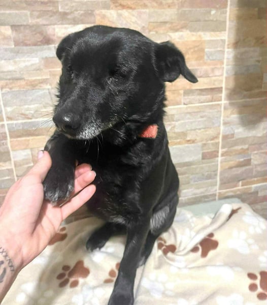 Chernyo – ein Leben in Dunkelheit, das endlich Licht verdient