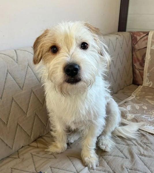 Muzie – freundlich, aufgeschlossen, möchte gefallen