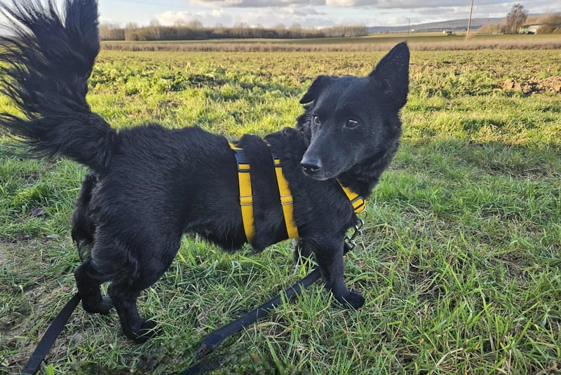 Cora mag erlebnisreiche Spaziergänge (61184 Karben)