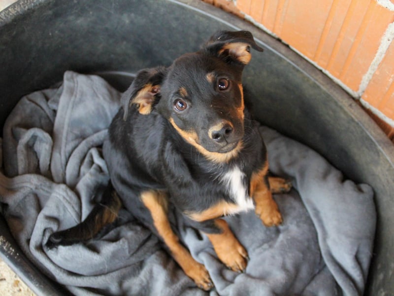 zauberhafte ROXANA möchte nach Hause reisen !