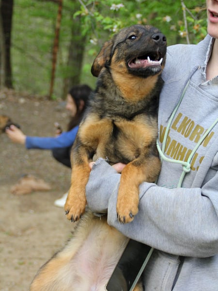 WELLA - rundum PERFEKT
