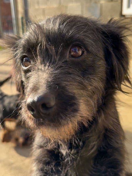 RAMONA rundum perfekt - ihr fehlt nur noch ein eigenes ZUHAUSE