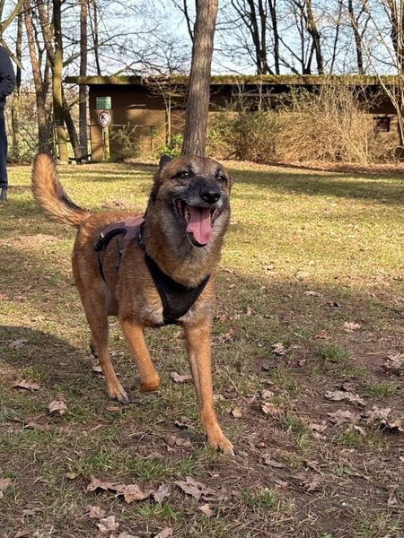 bezaubernde NISHA wartet in 91052 Erlangen auf ihre Herzensmenschen !
